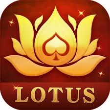 rummy bhai app download